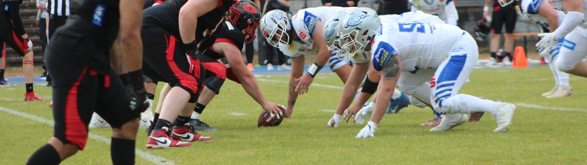 Wilddogs gewinnen im Saarland