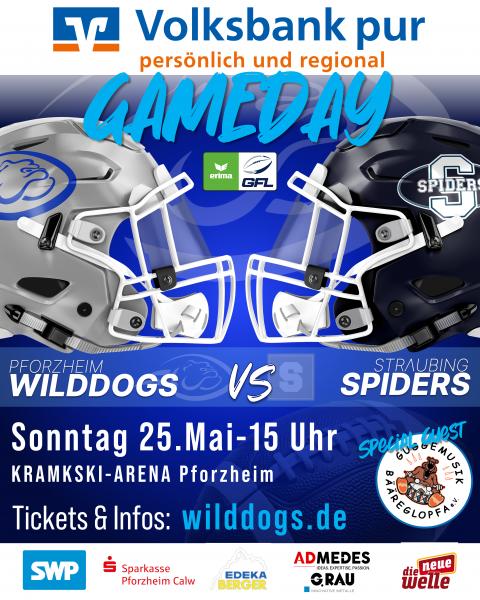 vs Straubing